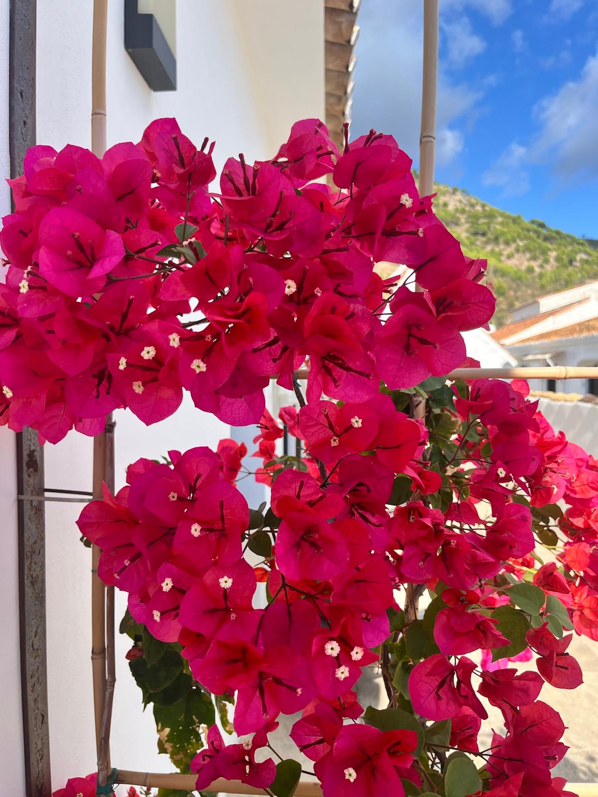 Art Retreat - Mijas, Spain | April 2026