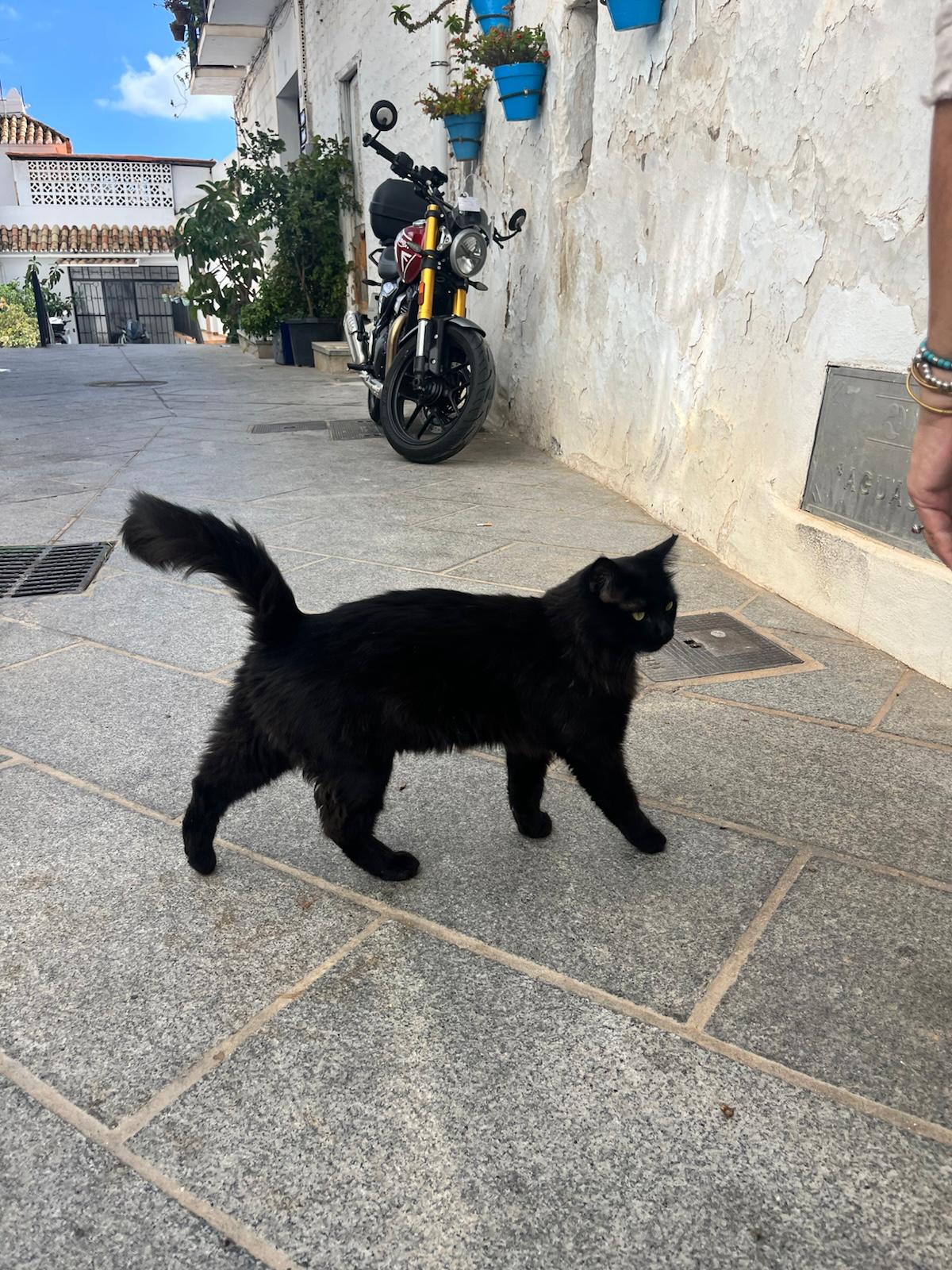 Art Retreat - Mijas, Spain | April 2026