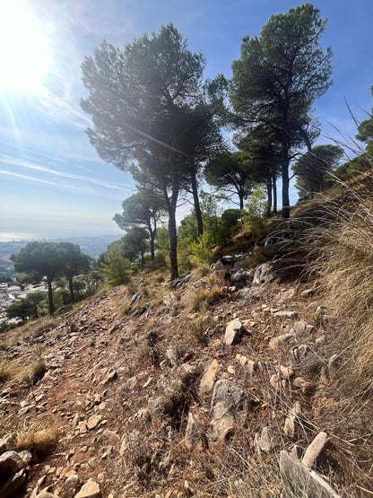 Art Retreat - Mijas, Spain | April 2026