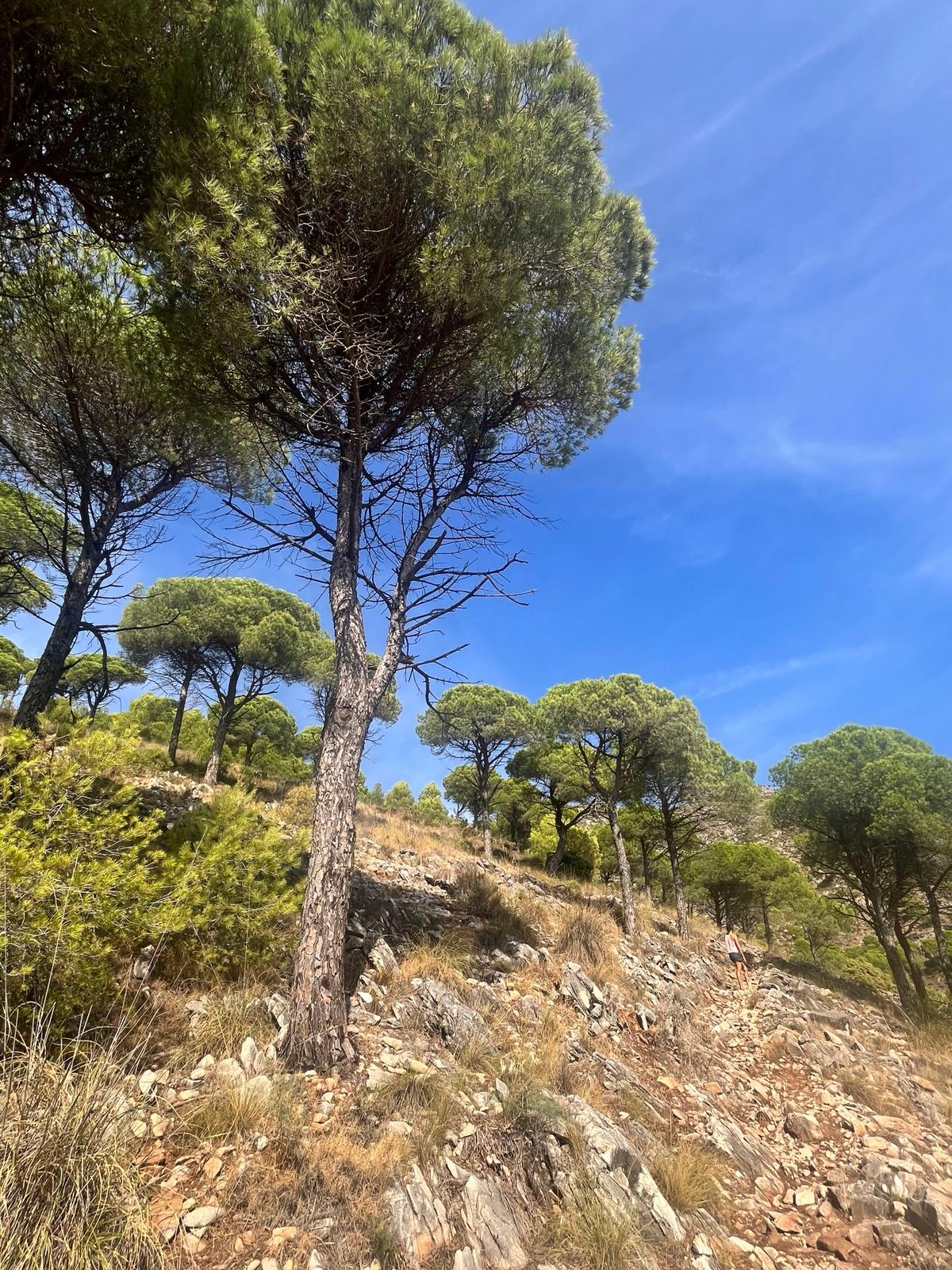 Art Retreat - Mijas, Spain | April 2026