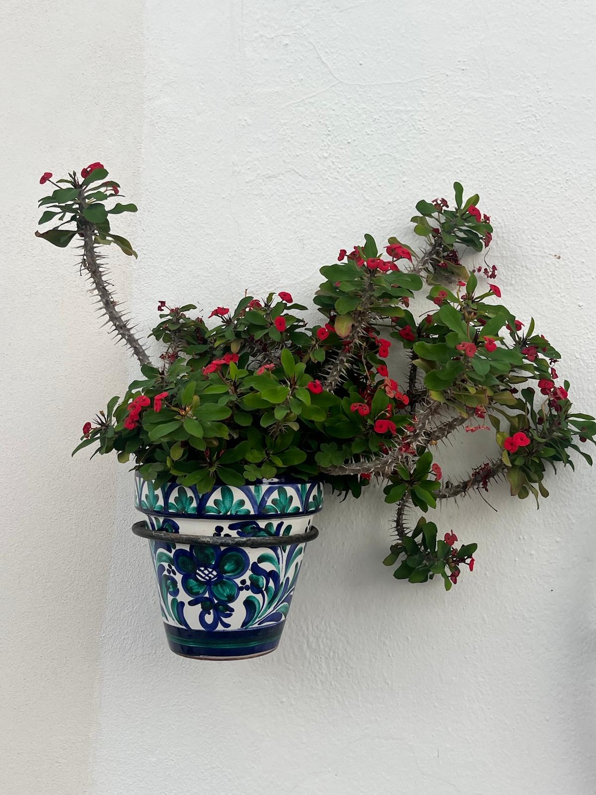 Art Retreat - Mijas, Spain | April 2026